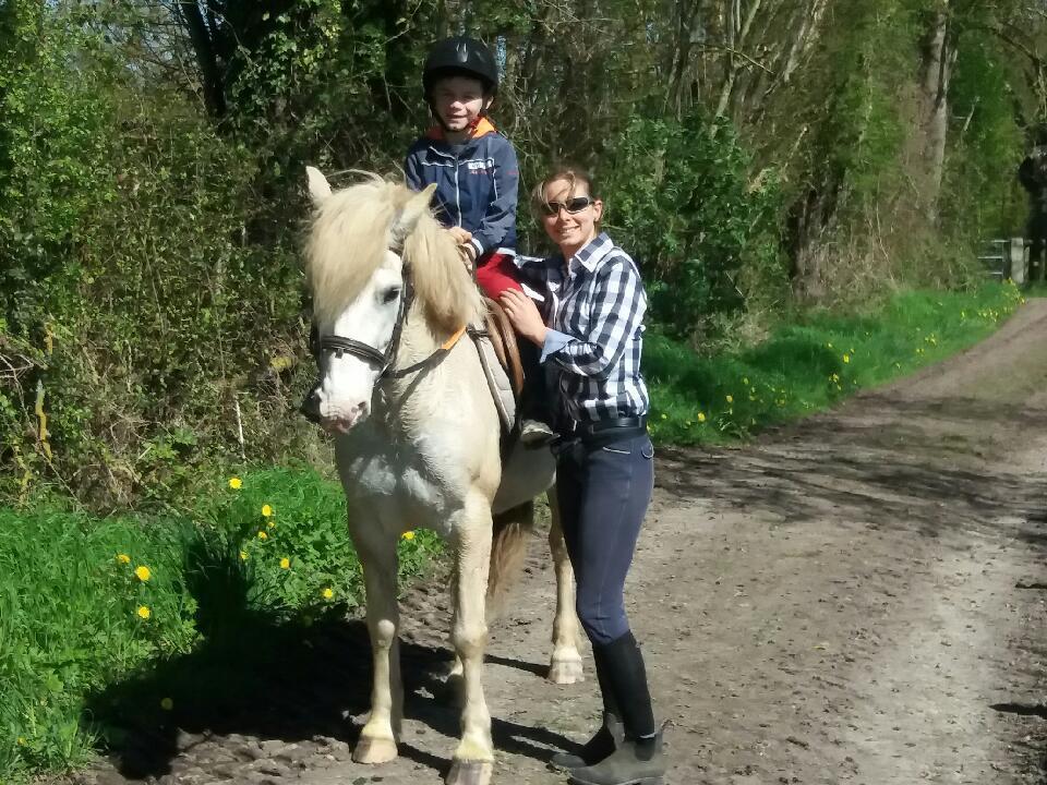 Boitron Les Gites Haras Del Paradiso מראה חיצוני תמונה
